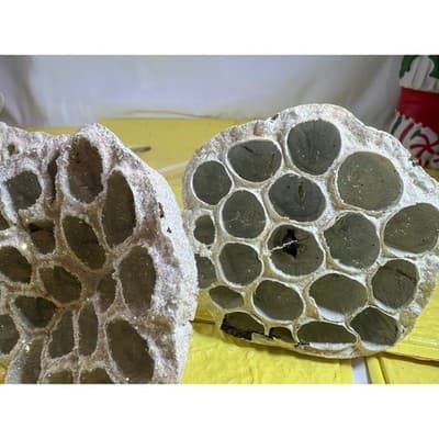 Vintage Lotus Seed Pod Floral Picks Christmas Holiday White Silver Set - Thumbnail 13