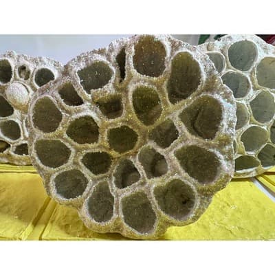 Vintage Lotus Seed Pod Floral Picks Christmas Holiday White Silver Set - Thumbnail 6