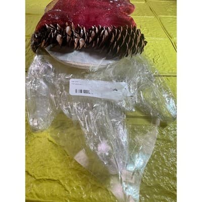 Rare Vintage Santa Claus Ornament Pinecone Ribbon Clear Plastic Beard Christmas - Thumbnail 10