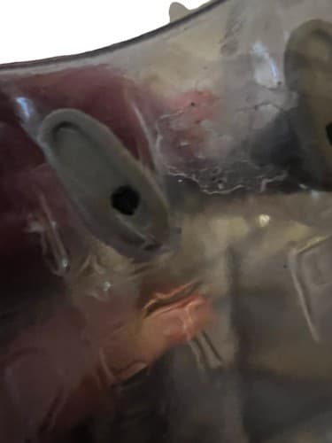 Indiana Jones Temple of Doom Short Round 2023 Retro Hasbro Loose Action Figure - Thumbnail 4