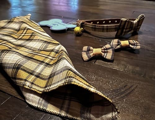 NEW Puptek Dog Collar with Bow Tie & Triangular Plaid Scarf and Two Ear Bows