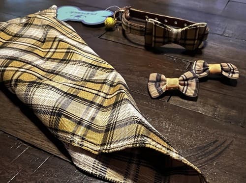 NEW Puptek Dog Collar with Bow Tie & Triangular Plaid Scarf and Two Ear Bows - Thumbnail 2