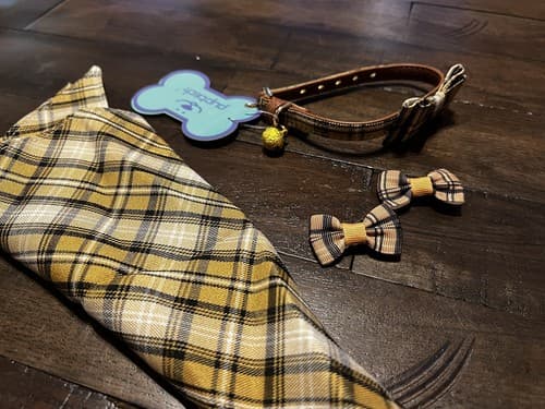 NEW Puptek Dog Collar with Bow Tie & Triangular Plaid Scarf and Two Ear Bows - Thumbnail 10