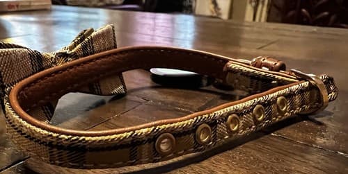NEW Puptek Dog Collar with Bow Tie & Triangular Plaid Scarf and Two Ear Bows - Thumbnail 6