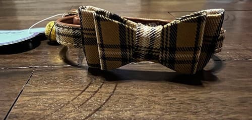 NEW Puptek Dog Collar with Bow Tie & Triangular Plaid Scarf and Two Ear Bows - Thumbnail 5