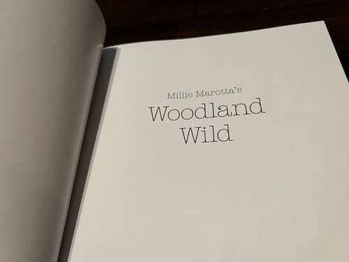 Millie Marotta Woodland Wild A Millie Marotta Adult Coloring Book Art - Thumbnail 4