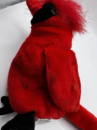 TY Beanie Baby Babies Stuffed Animal Plush Red Cardinal Mac 1999 - Thumbnail 11