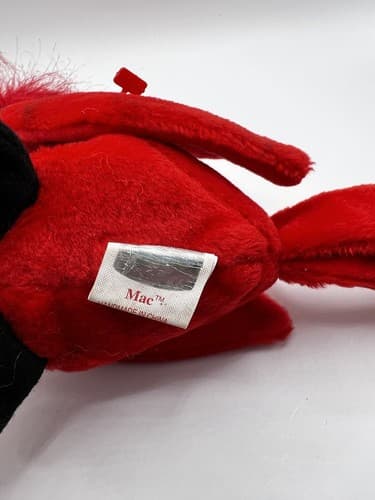 TY Beanie Baby Babies Stuffed Animal Plush Red Cardinal Mac 1999 - Thumbnail 9