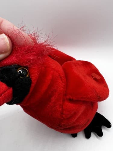 TY Beanie Baby Babies Stuffed Animal Plush Red Cardinal Mac 1999 - Thumbnail 5