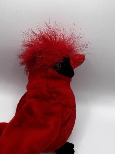 TY Beanie Baby Babies Stuffed Animal Plush Red Cardinal Mac 1999 - Thumbnail 7
