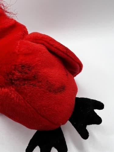 TY Beanie Baby Babies Stuffed Animal Plush Red Cardinal Mac 1999 - Thumbnail 8