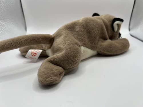 TY Beanie Baby Babies Stuffed Animal Plush Canyon 1998 - Thumbnail 4