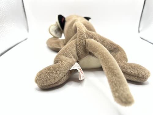 TY Beanie Baby Babies Stuffed Animal Plush Canyon 1998 - Thumbnail 5