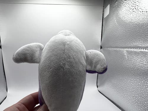 TY Beanie Baby Babies Stuffed Animal Plush Dolphin Flips 2014 - Thumbnail 8