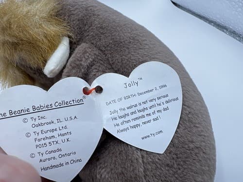 TY Beanie Baby Babies Stuffed Animal Plush Walrus Jolly 1996 - Thumbnail 4