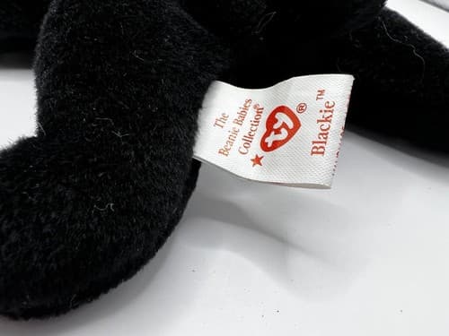 TY Beanie Baby Babies Stuffed Animal Plush Black Bear Blackie 1993 - Thumbnail 7