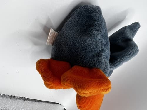 TY Beanie Baby Babies Stuffed Animal Plush Scoop Pelican 1996 - Thumbnail 8