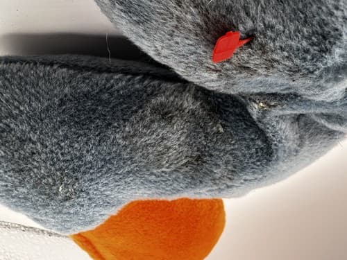 TY Beanie Baby Babies Stuffed Animal Plush Scoop Pelican 1996 - Thumbnail 10