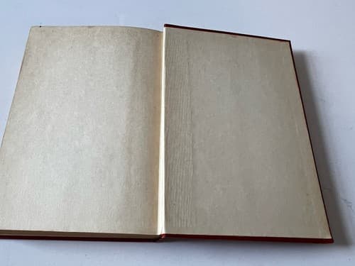 Stay Away Joe by Dan Cushman 1953 Hard Cover HC First Edition Hardback Vintage - Thumbnail 9