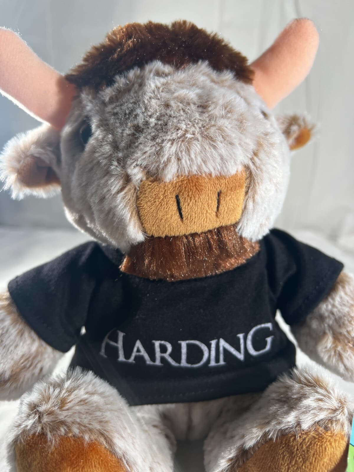 NWT Tag Glenky's Buffalo Alexon Plush Stuffed Animal Toy wearing Harding T-shirt - Thumbnail 6