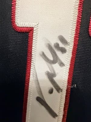 Larry Fitzgerald Multiple Players Team Autographed Arizona Cardinals Jersey #11 - Thumbnail 16
