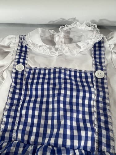Dorothy Wizard of Oz Halloween Dress Up Costume - Small Girls Beautiful - Thumbnail 2