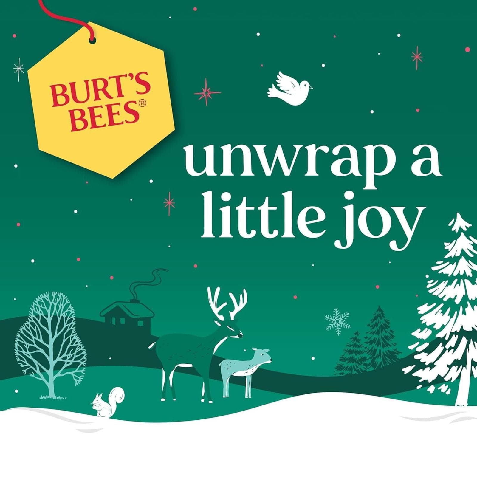 Burts Bees Mask Bundle Gift Set; , Ultra Conditioning Lip Balm and Moisturizing - Thumbnail 4