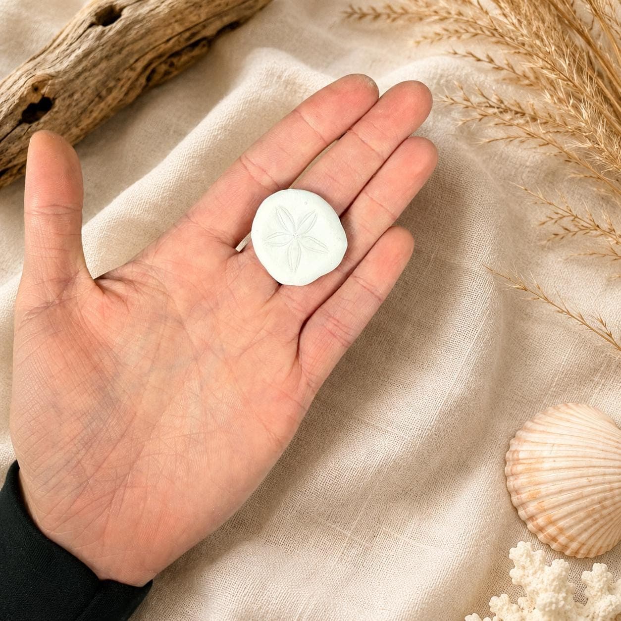 Natural Sea Cookie Sand Dollars – 1.25" Mini White Sea Biscuits for Crafts & Coastal Decor | Bulk Beach Wedding Favors - Thumbnail 5