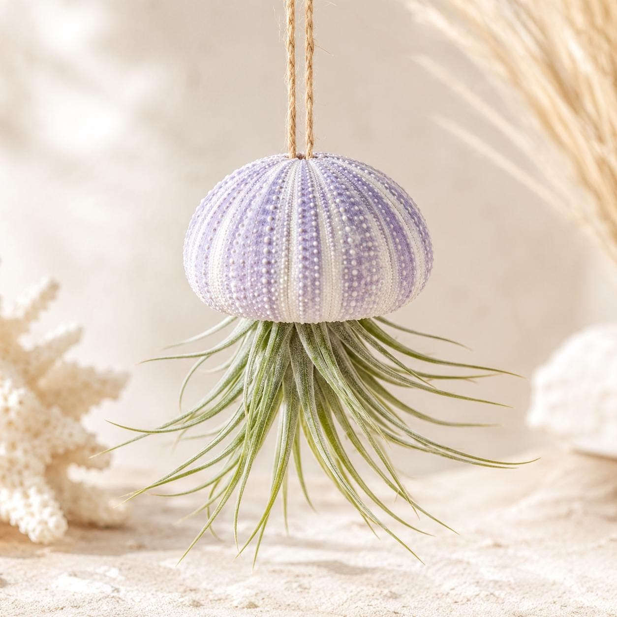Lavender Purple Sea Urchins – Natural Craft Supplies & Coastal Decor - Thumbnail 3