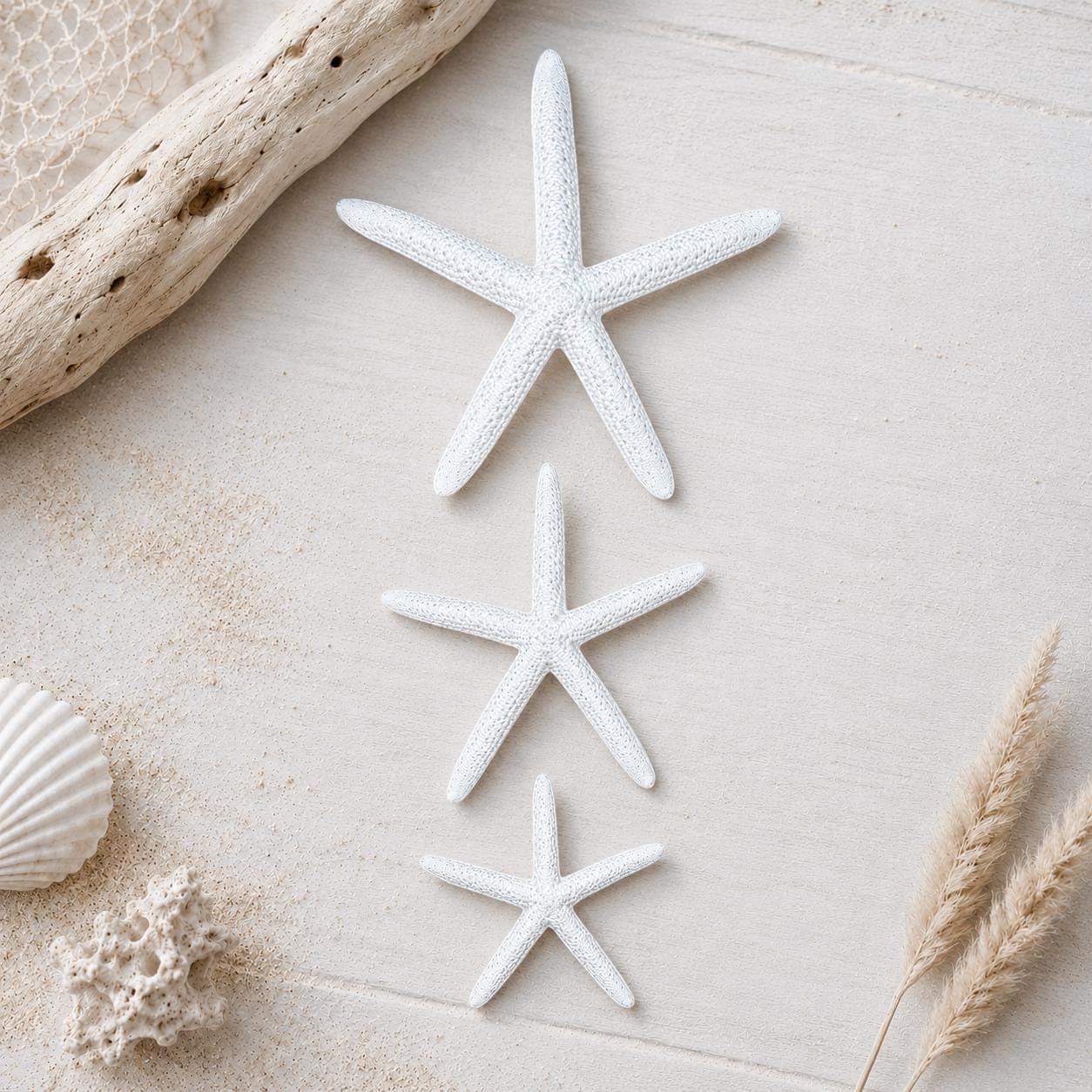 Bulk Wedding Ornament Natural Starfish For Beach Weddings, Coastal Decor & DIY Crafts - Thumbnail 4
