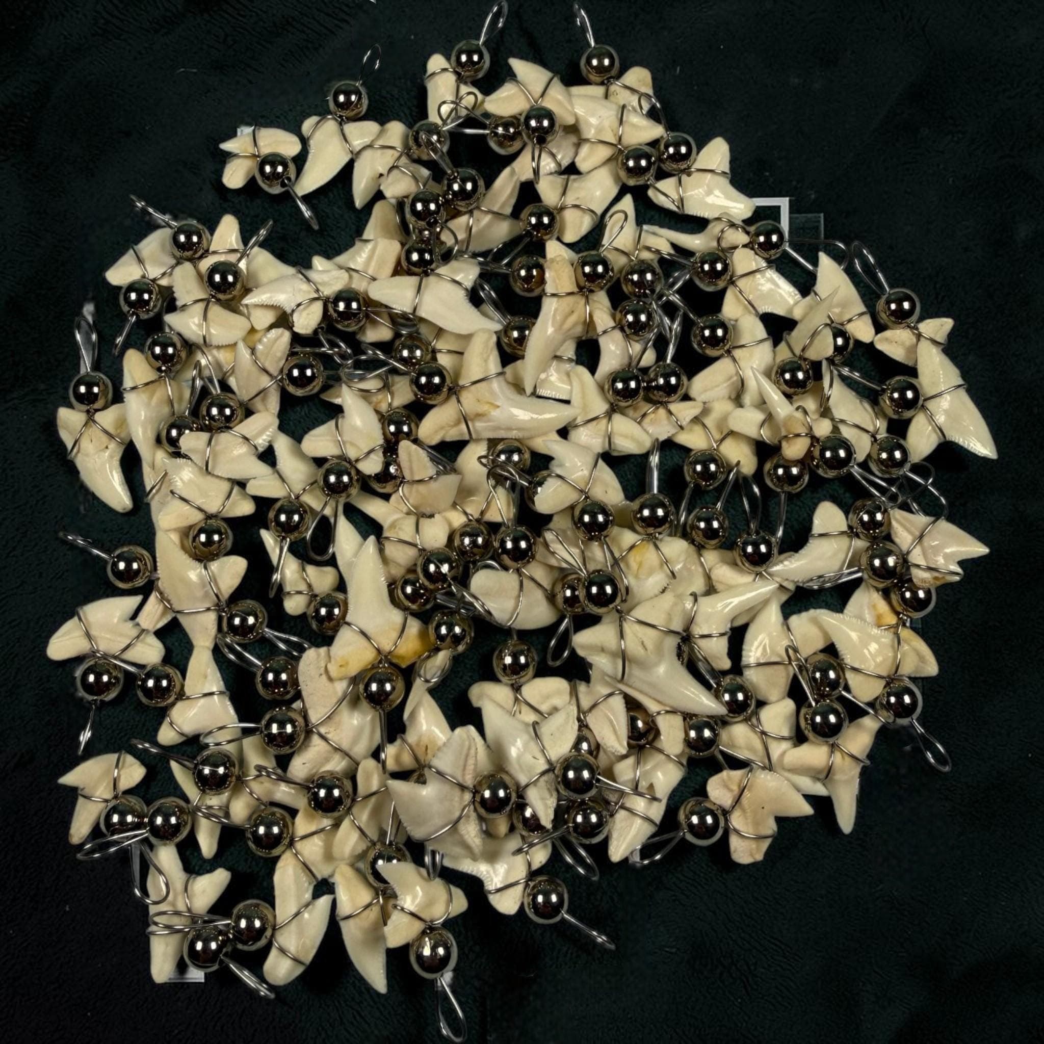 Authentic Tiger Shark Tooth Pendant – Wire‑Wrapped Necklace Charm | Bulk Shark Teeth for DIY Jewelry & Beach Gifts - Thumbnail 4