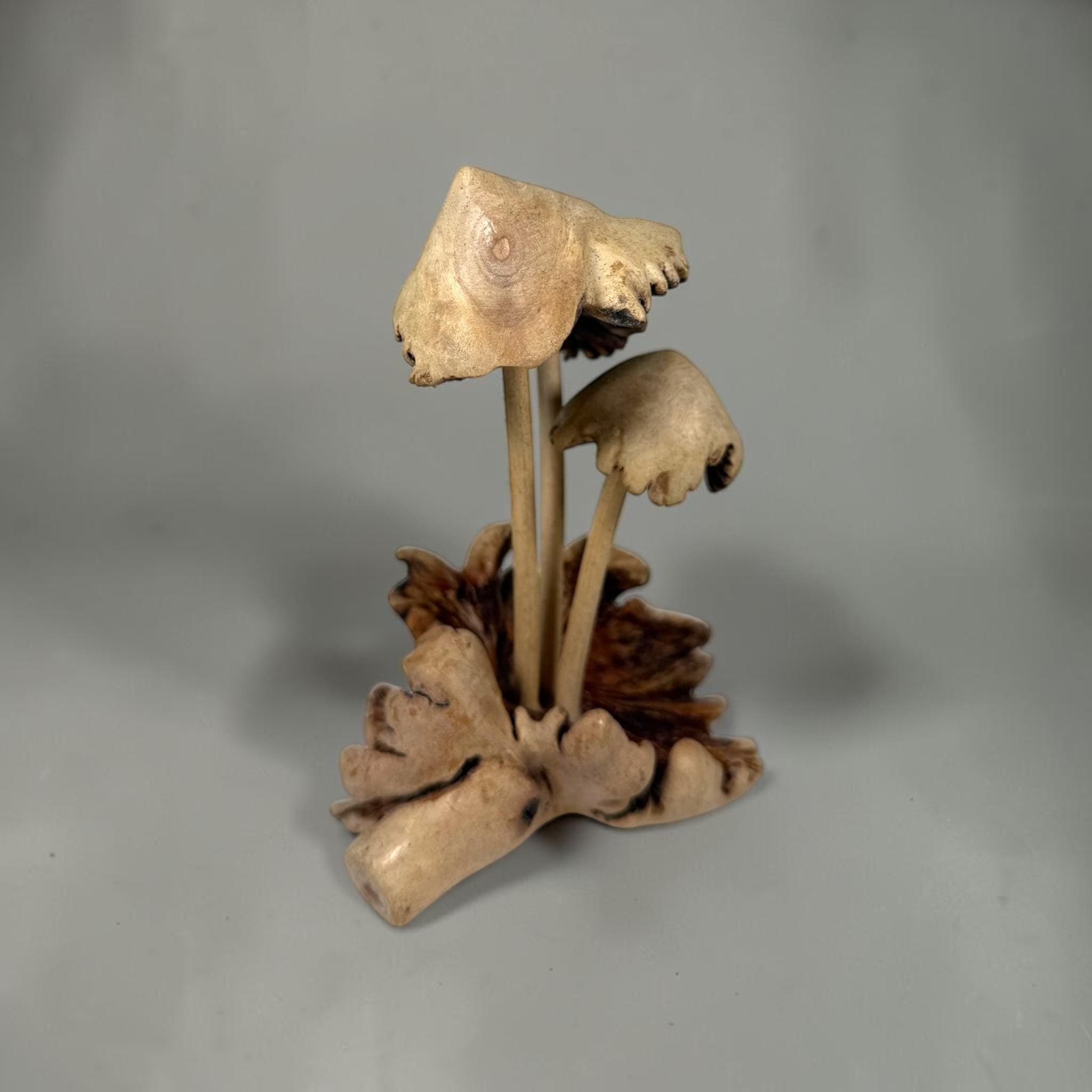 Hand‑Carved Parasite Wood Mushroom Sculpture – Rustic 5.5" Wooden Fungus Decor - Thumbnail 7
