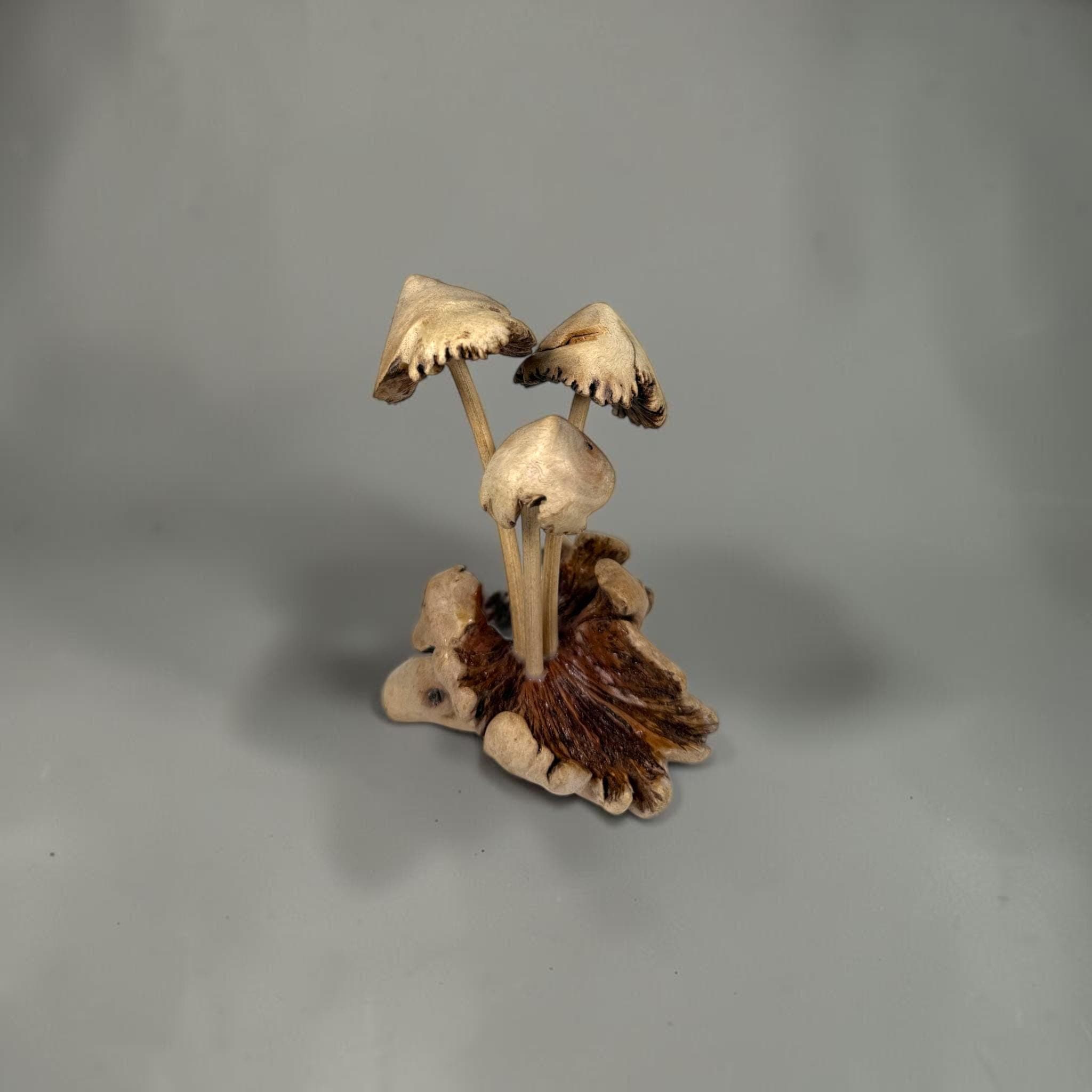 Hand‑Carved Parasite Wood Mushroom Sculpture – Rustic 5.5" Wooden Fungus Decor - Thumbnail 3