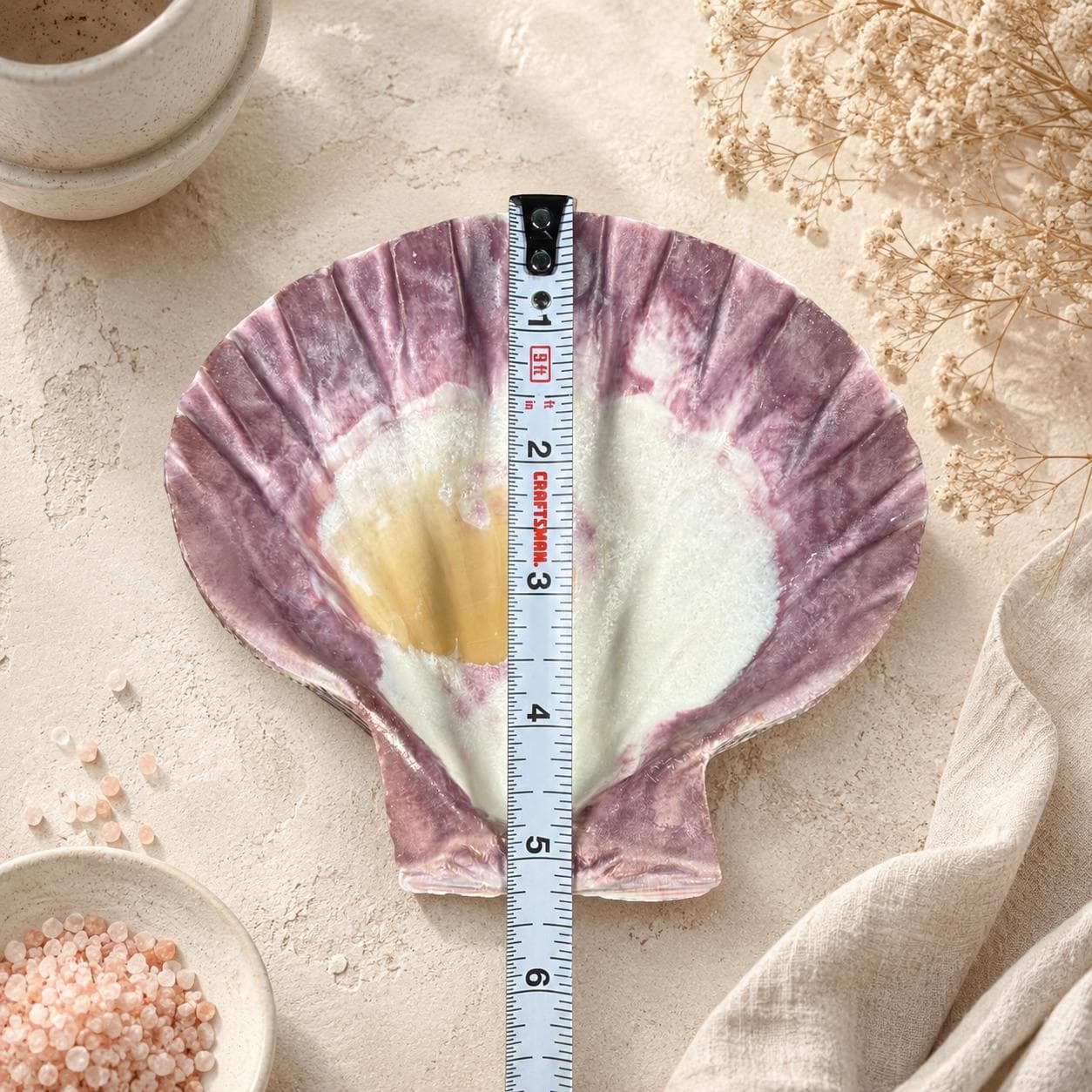 Real Purple Lion’s Paw Shell – 5–6" Natural Seashell for Crafts & Coastal Decor - Thumbnail 7