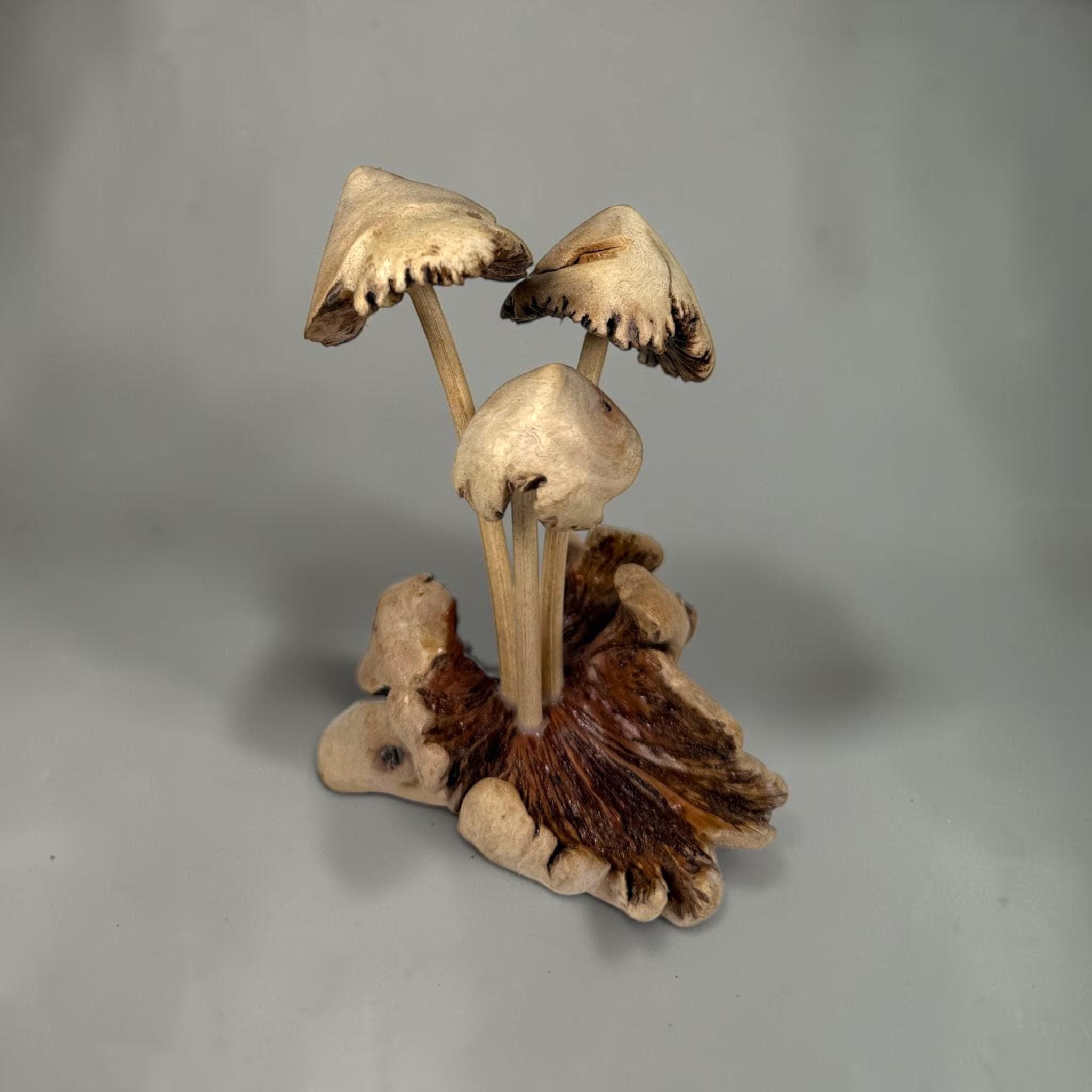 Hand‑Carved Parasite Wood Mushroom Sculpture – Rustic 5.5" Wooden Fungus Decor - Thumbnail 4