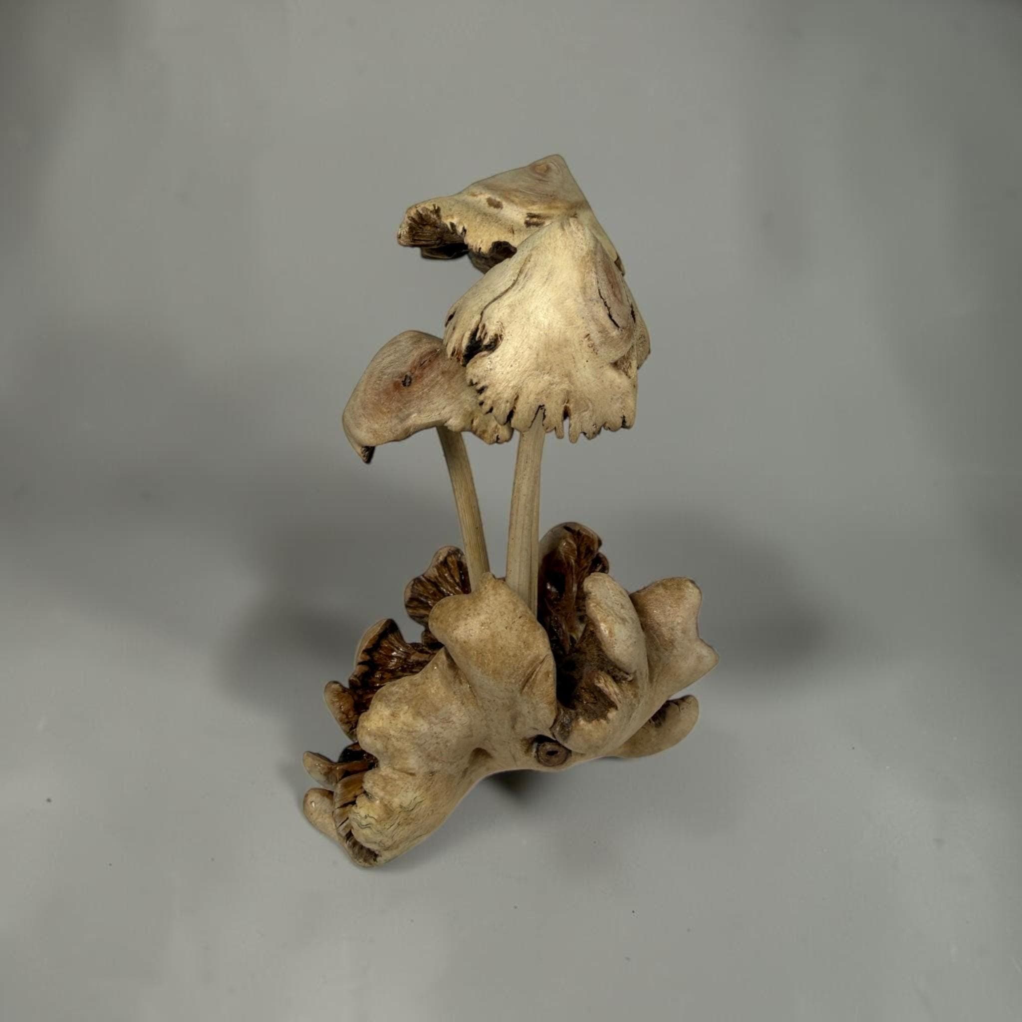 Hand‑Carved Parasite Wood Mushroom Sculpture – Rustic 5.5" Wooden Fungus Decor - Thumbnail 5