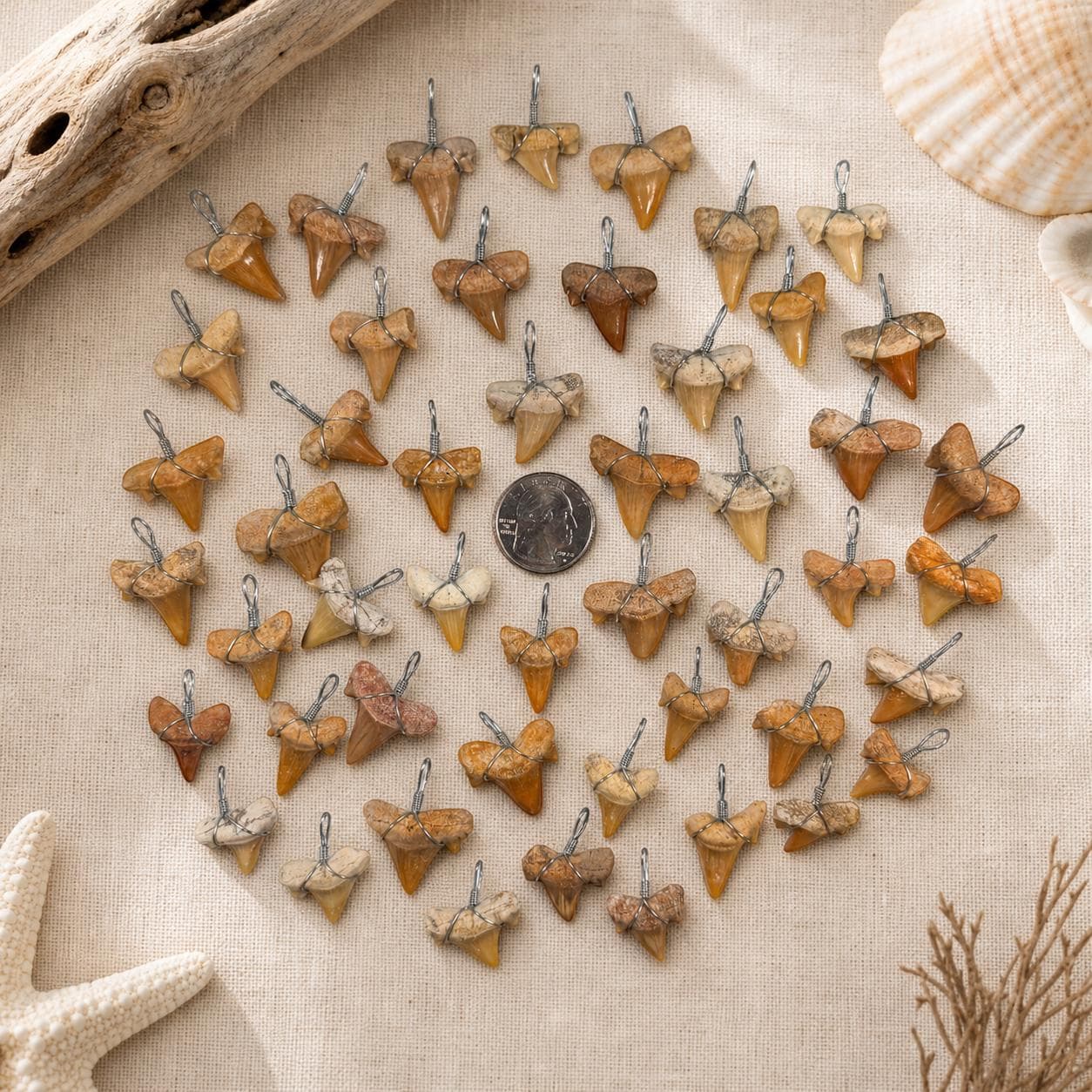 Real Fossilized Shark Tooth Pendant – Wire‑Wrapped Necklace Charm – Natural Coastal Fossil Jewelry Supply - Thumbnail 2