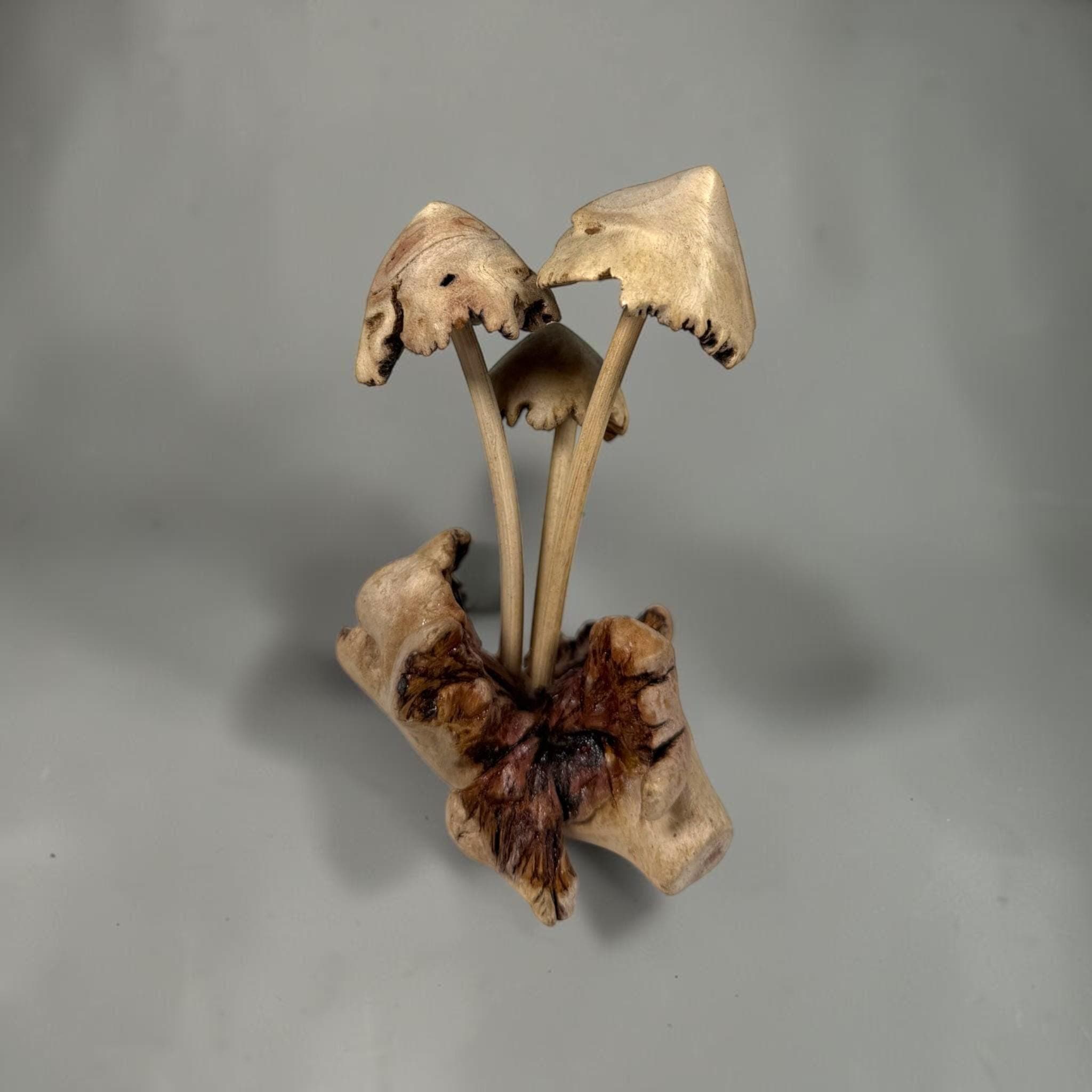 Hand‑Carved Parasite Wood Mushroom Sculpture – Rustic 5.5" Wooden Fungus Decor - Thumbnail 6