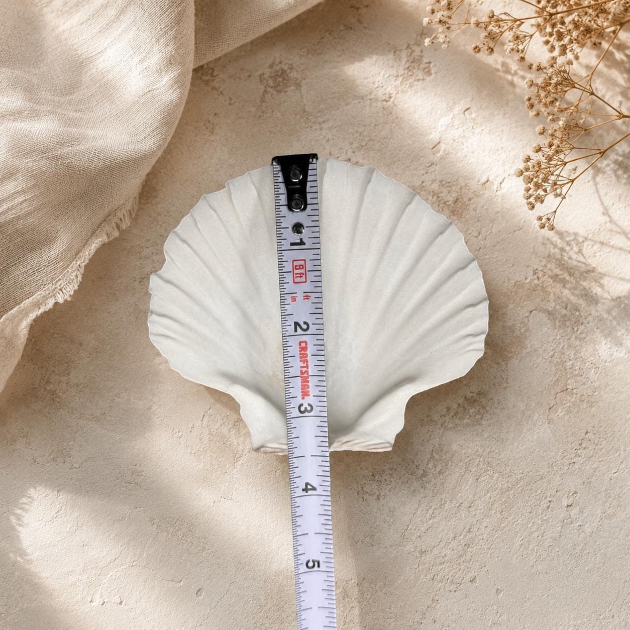 Real Irish Baking Scallop Shells – Set of 6 (3.5–4″) Natural Oven‑Safe Coquilles for Baking & Coastal Crafts - Thumbnail 5