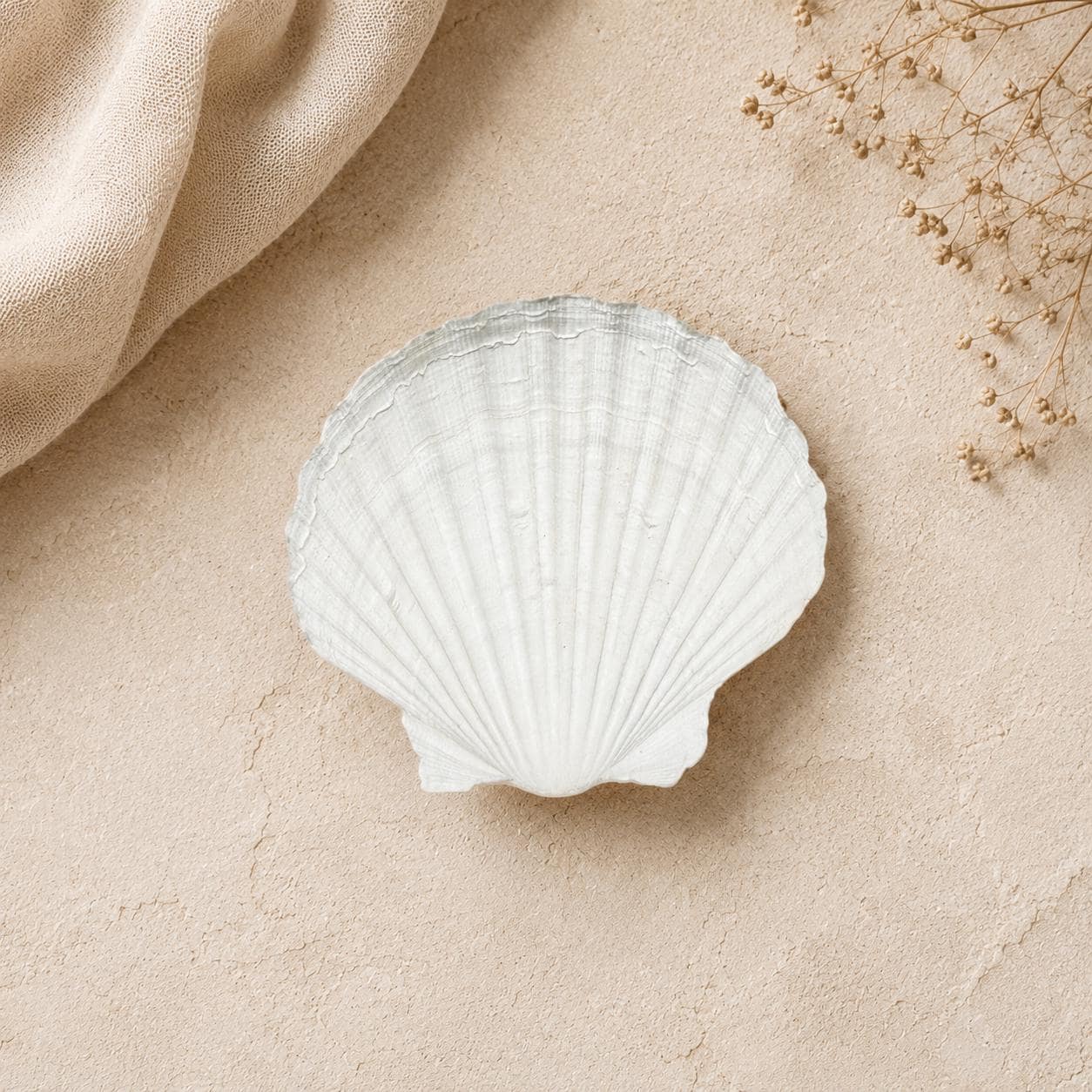 Real Irish Baking Scallop Shells – Set of 6 (3.5–4″) Natural Oven‑Safe Coquilles for Baking & Coastal Crafts - Thumbnail 3