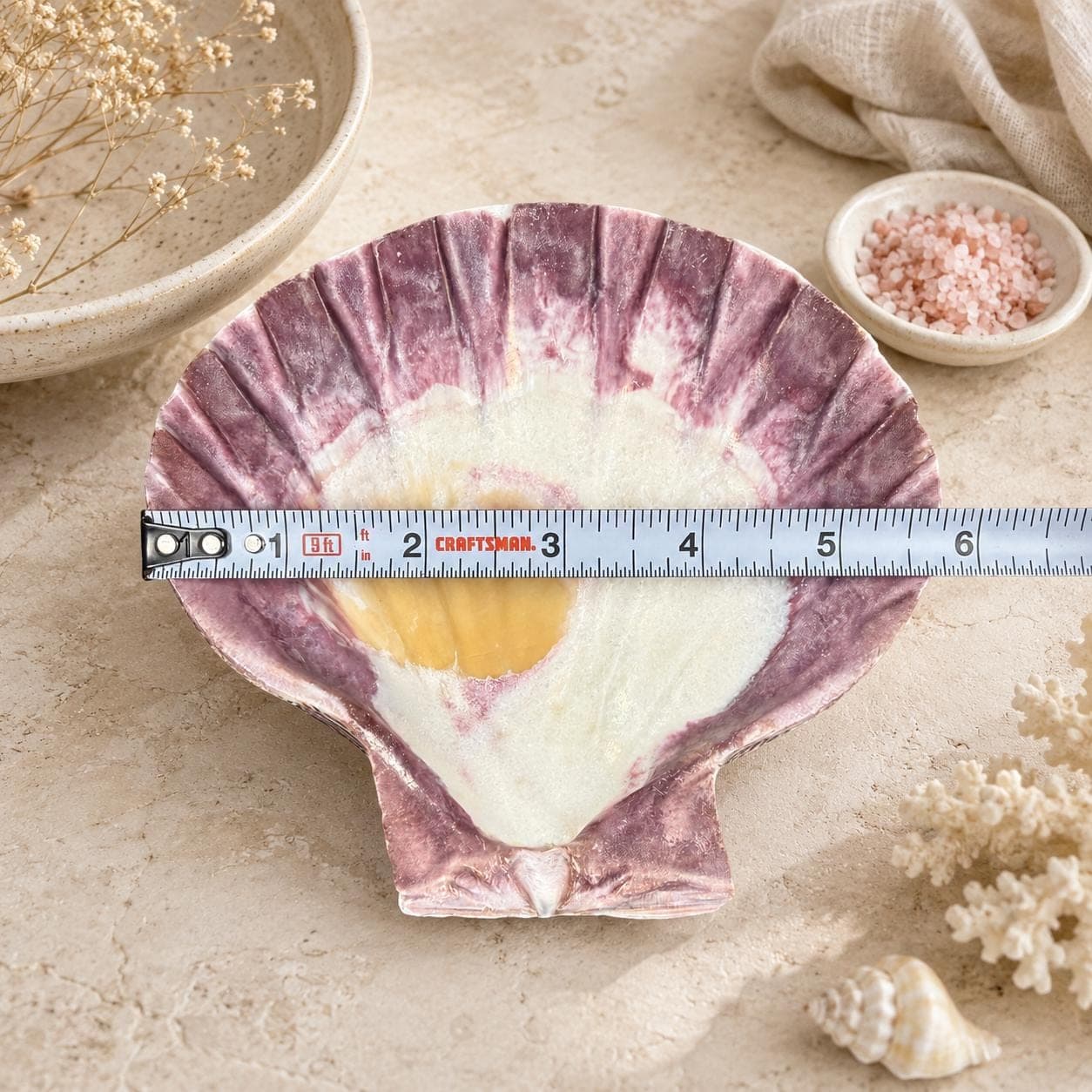 Real Purple Lion’s Paw Shell – 5–6" Natural Seashell for Crafts & Coastal Decor - Thumbnail 6