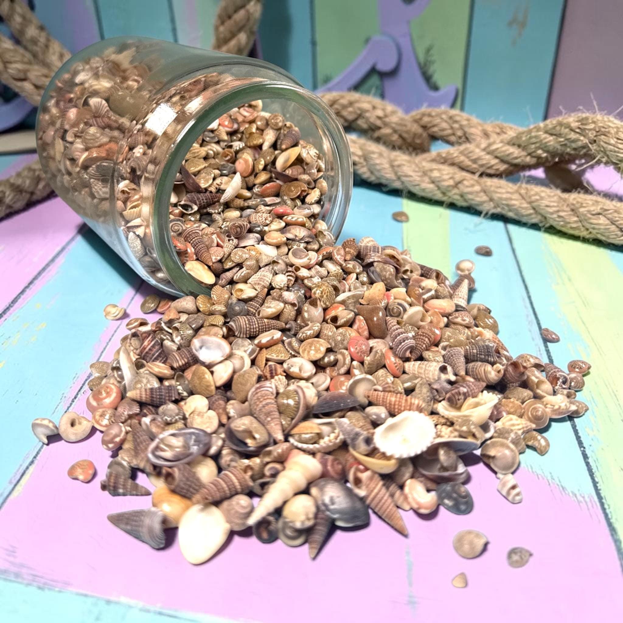 Mini Sea Shells Bulk Mix | Tiny Craft Shells for Coastal Decor, Resin, Weddings
