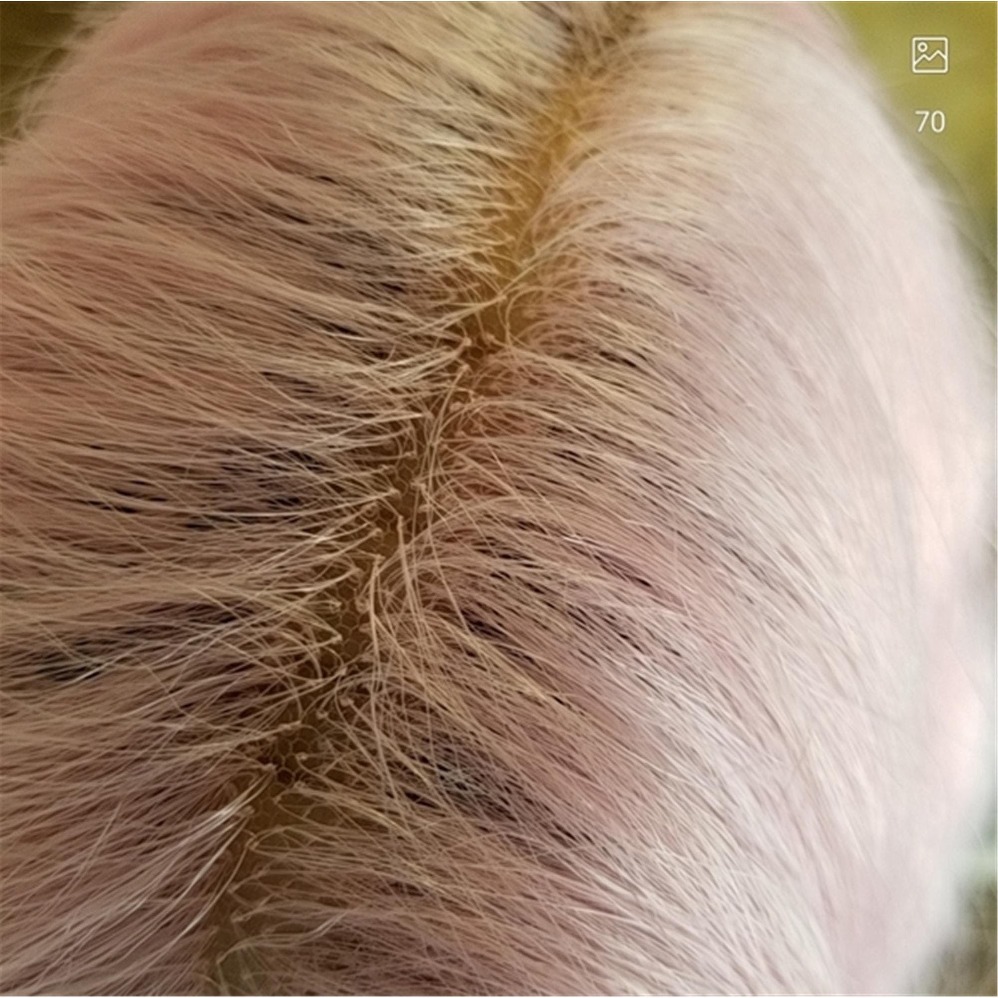 Rainbow Beauty Lace Front Wig - Thumbnail 7
