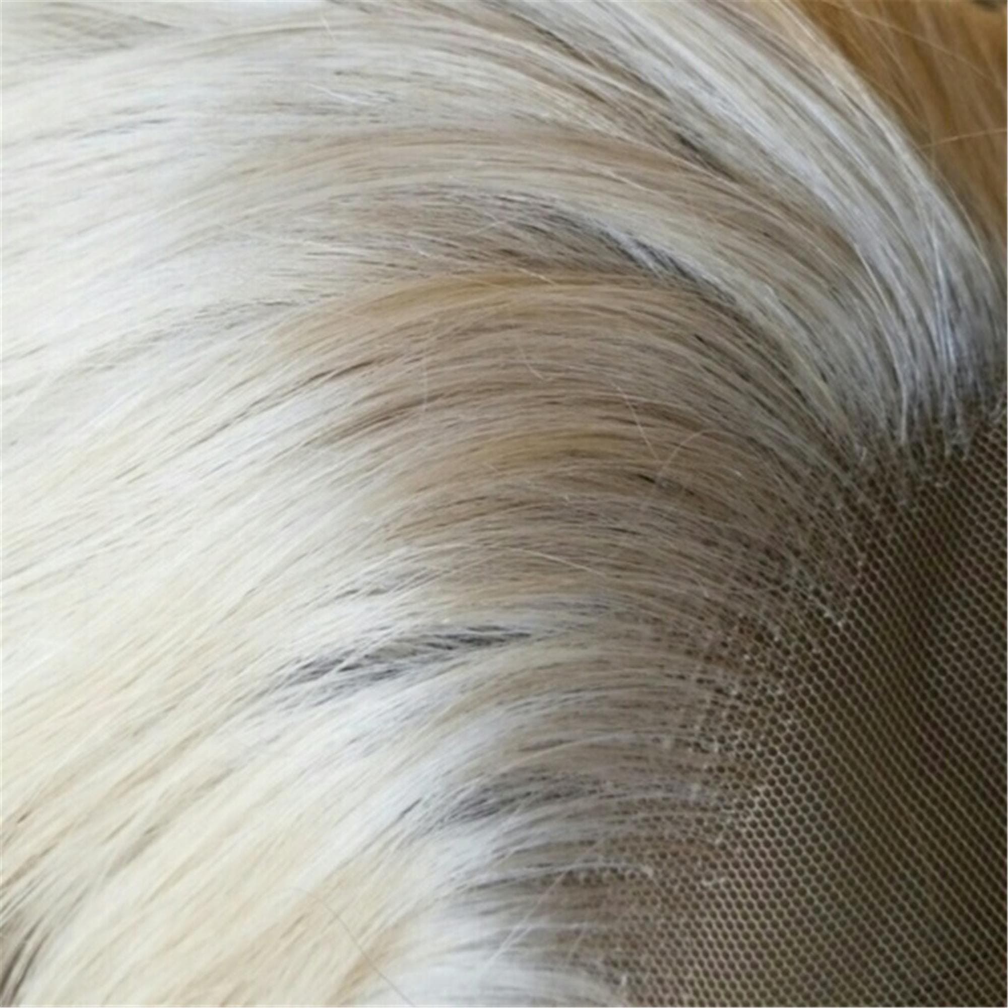 Blonde Beauty LaceFront Wig Wig 22-24inches - Thumbnail 3