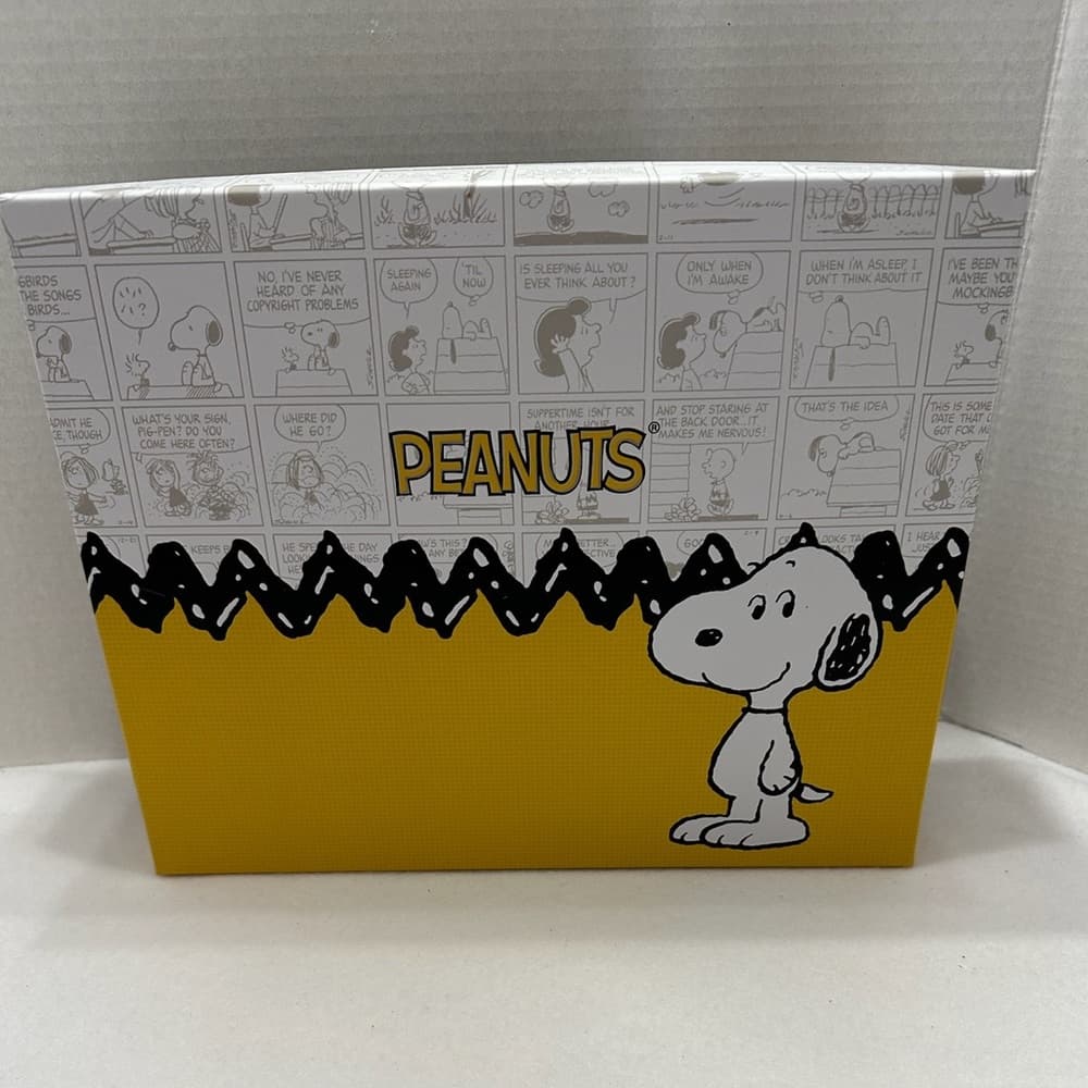 NIB Peanuts 3 Piece Set Snoopy Woodstock Doghouse Crossbody Bag & Keychain Charm
