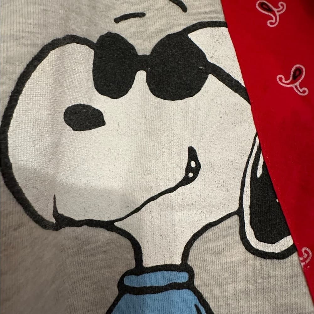 Daydreamer Snoopy Joe Cool Bandana Patchwork Crop Hoodie Heather Gray Size Small - Thumbnail 6