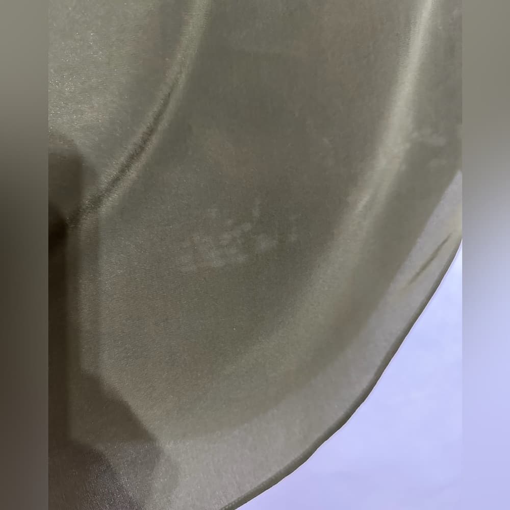 Madewell Olive Green Island Skirt 100% Silk Midi Medium Minimalist SEE NOTE - Thumbnail 6