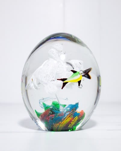 Vintage Art Glass 3 Fish Aquarium Large Multicolor Egg Shape Paperweight Rare - Thumbnail 2