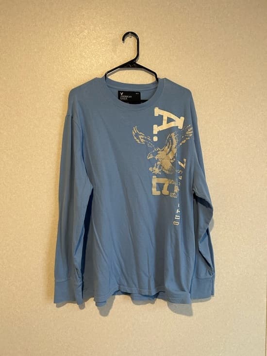 Mens American Eagle Outfitters Long Sleeve Tee Shirt Size XXL, In Baby Blue - Thumbnail 4
