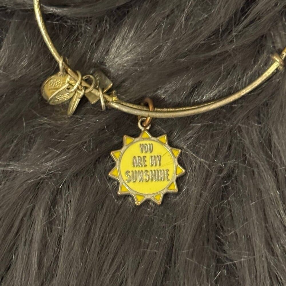 Alex and Ani You Are My Sunshine Bracelet